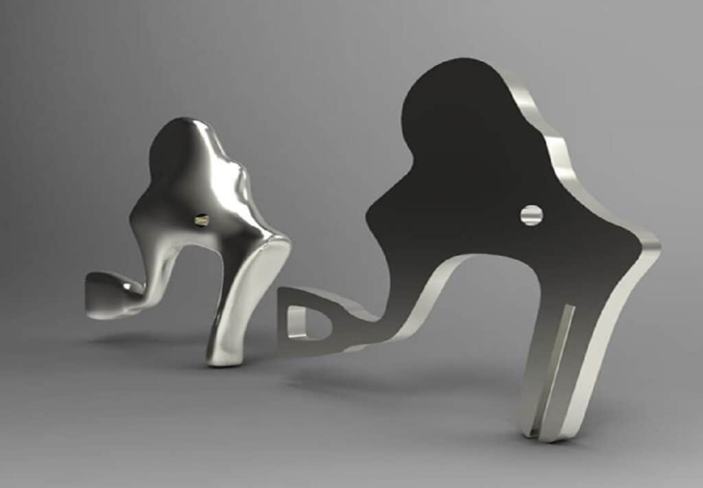 3D Printed Bone transplant South Africa